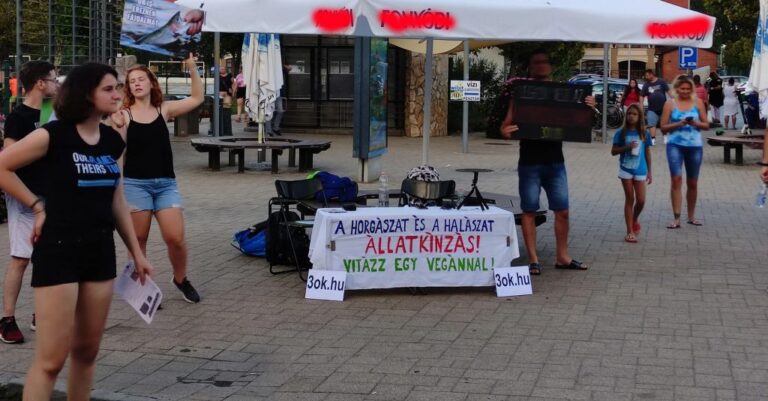 Vegánok a Harcsafesztiválon- Békés aktivizmus